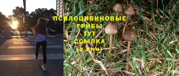 круглые Гусь-Хрустальный
